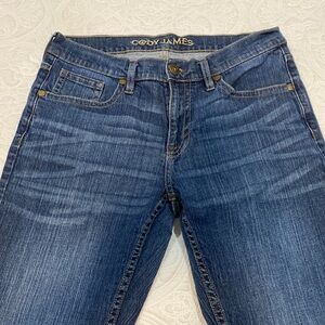 Cody James men’s denim jeans.  Fairly new.  32x36